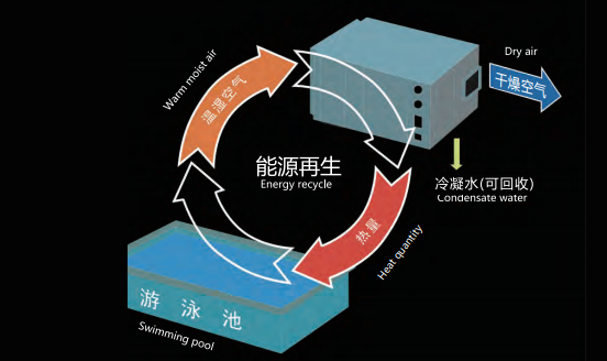 泳池除濕設(shè)備,泳池除濕機(jī)