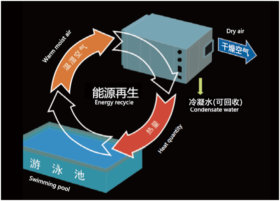 游泳館除濕機(jī),泳池專(zhuān)用熱泵型除濕機(jī)泳池除濕機(jī)